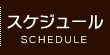 スケジュール